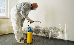 Best Residential Mold Inspection & Testing in Eatons Neck, NY